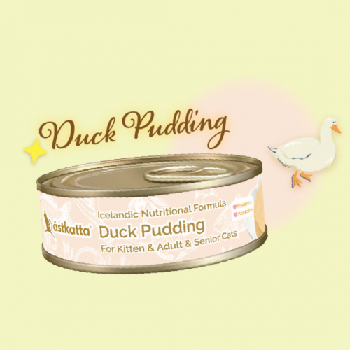 Duck_Pudding_40a-500x500-1.png